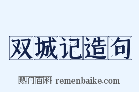 双城记造句是什么意思的图片